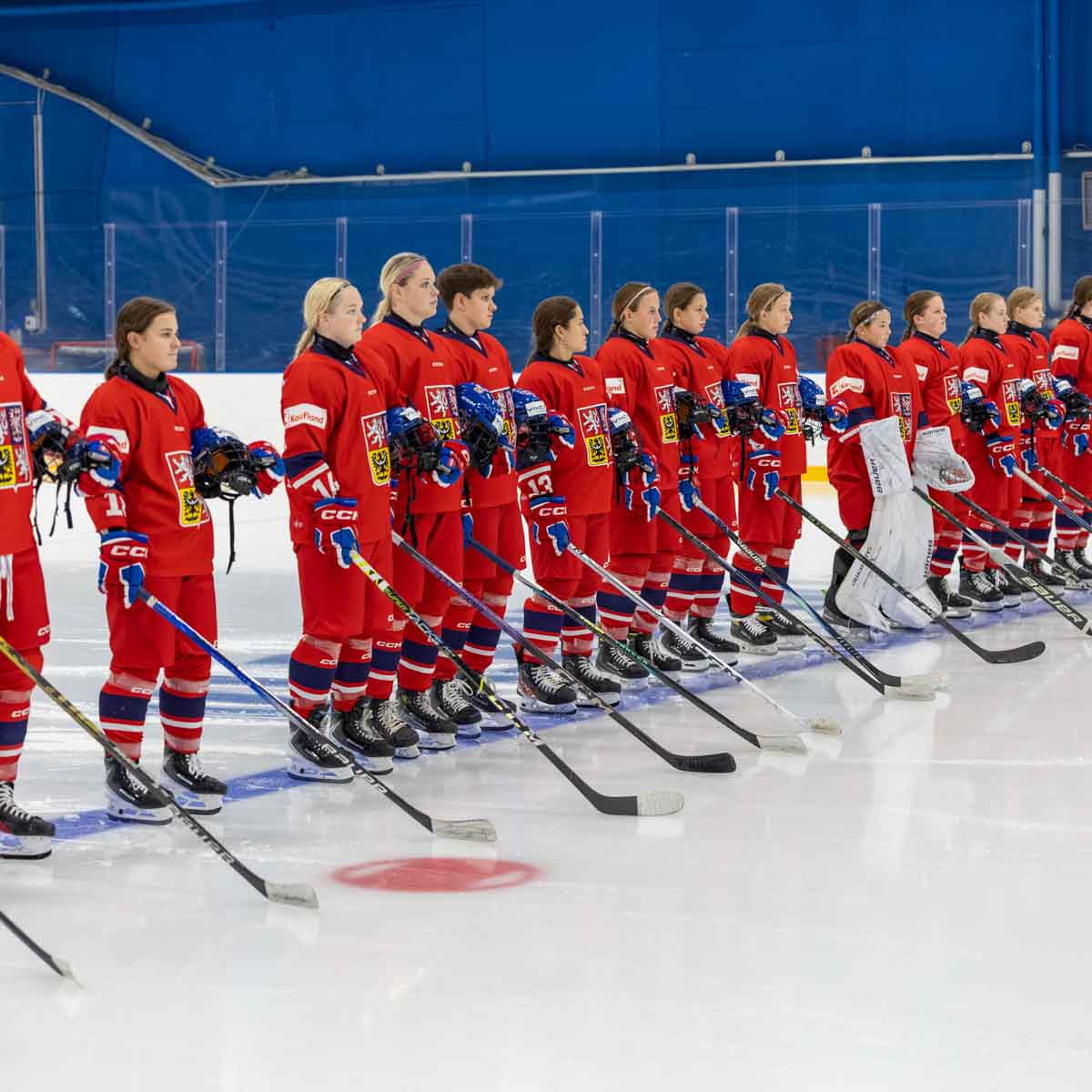 03_FIN-CZE.jpg