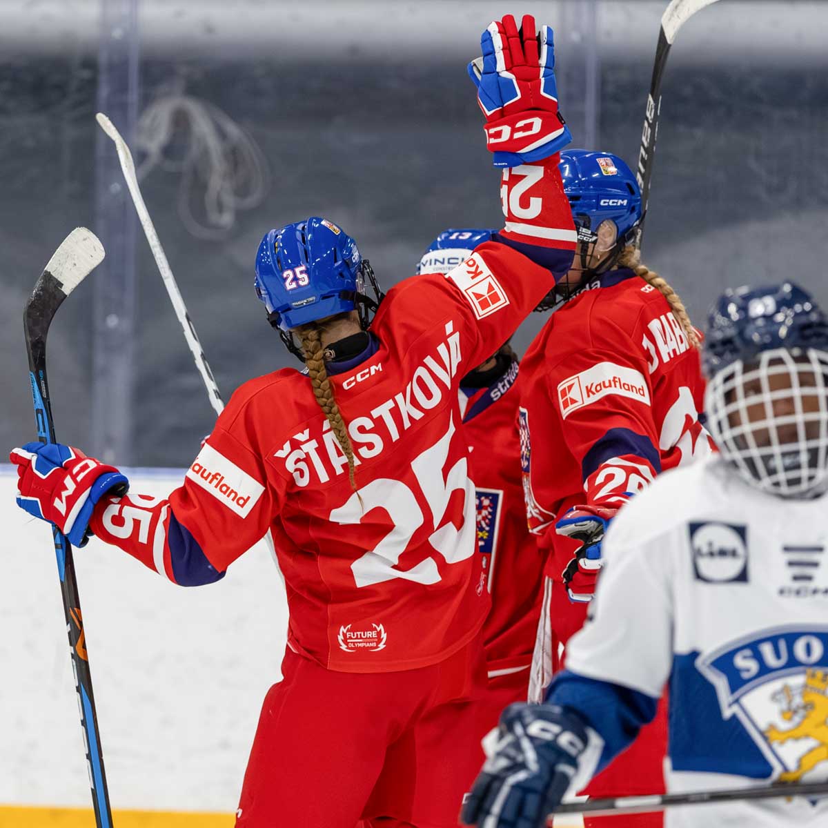 13_FIN-CZE.jpg
