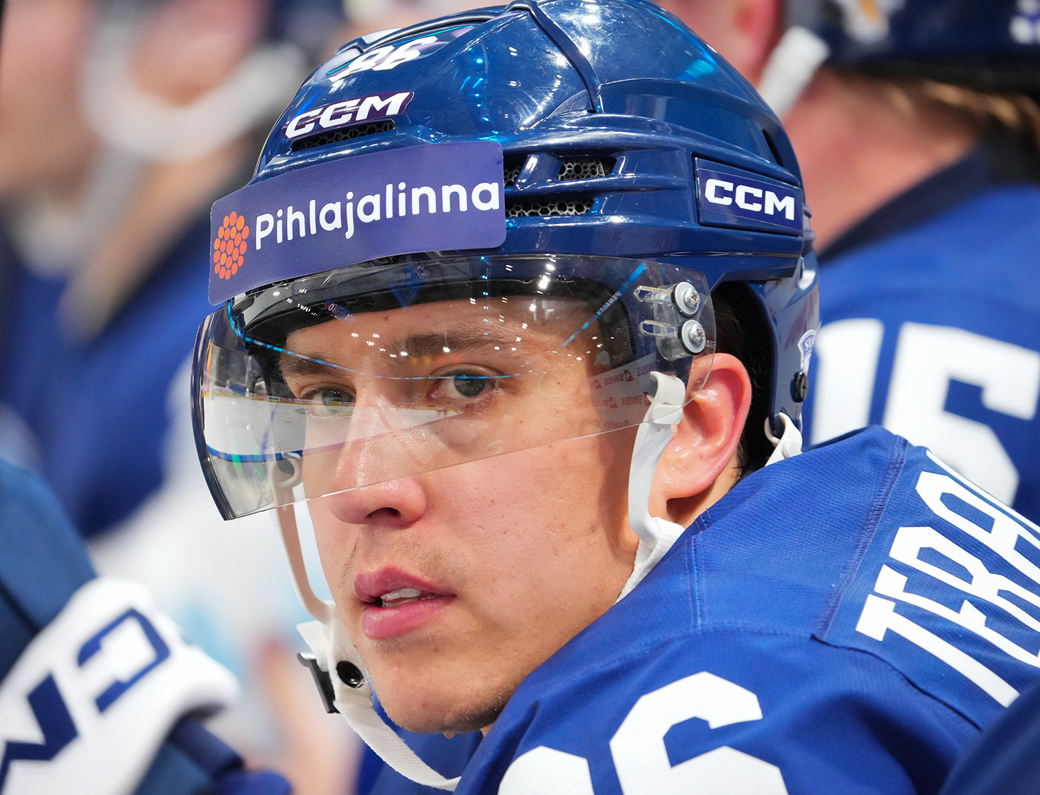 www.leijonat.fi