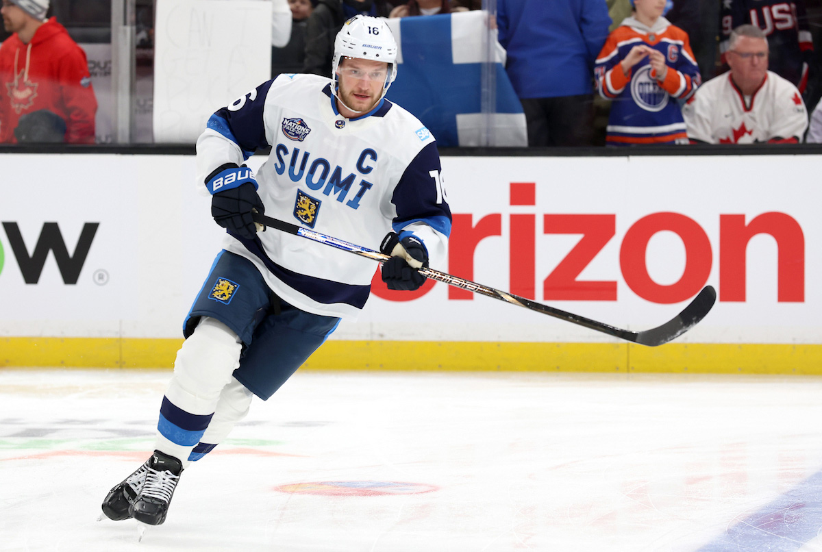 www.leijonat.fi