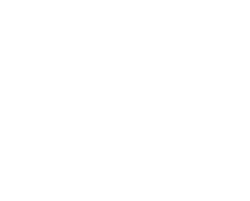 Leijonat