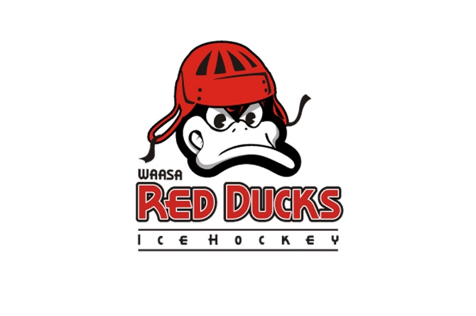 Vaasalainen Red Ducks ja HC Indians Kaarina pelasivat tällä kaudella Suomi-sarjassa ja taistelevat nyt sarjapaikkojensa puolesta.