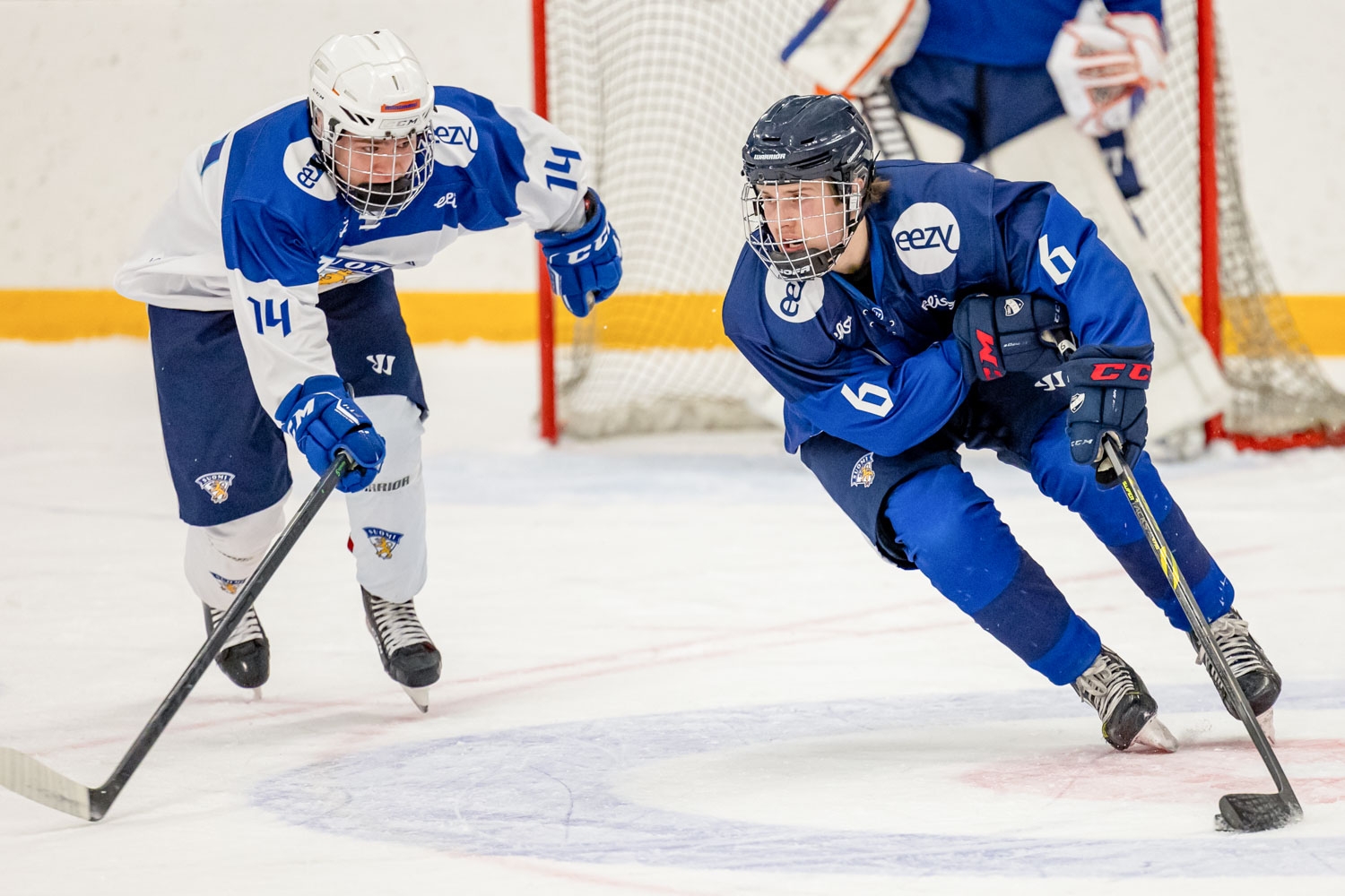 "Sitoutuneita leijonapaitaan" – Uusia pelaajia maajoukkuerinkiin "nollakutosten" Vierumäki Campillä