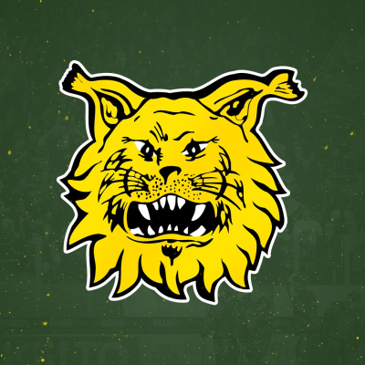 Ilves jatkaa finaaleihin puhtaalla pelillä