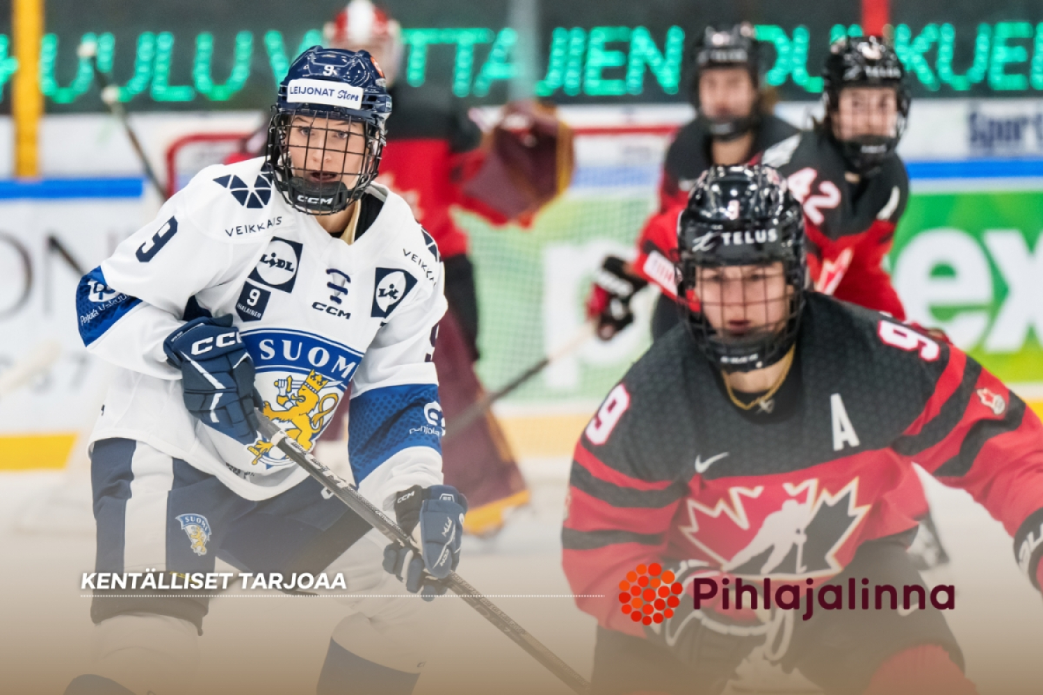 Naisleijonat kohtaa Kanadan MM-kisojen välieräpelissä kello 20 – Suomen kentälliset, lähetys TV5:llä ja Maxilla 