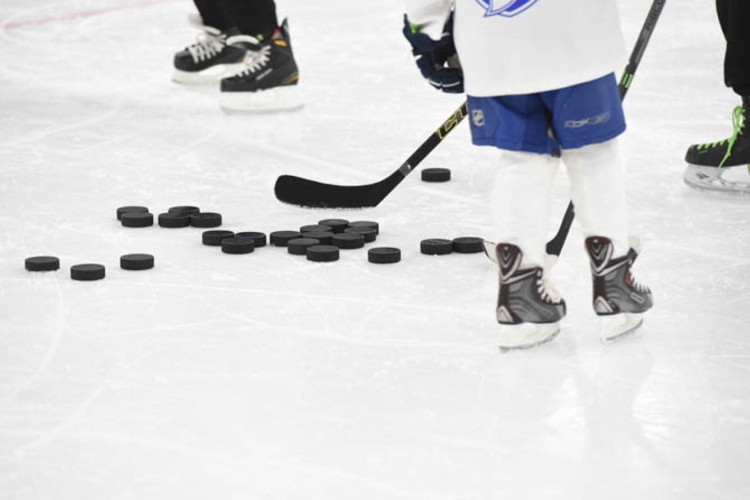 Katso, mitkä seurat olivat mukana Caruna Easy Hockeyssa kaudella 2016-17