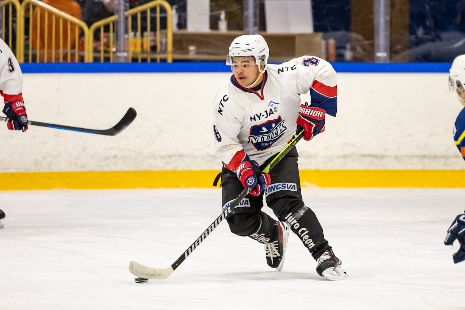 JHT-kippari Palolan lentokelille jatkoa – Muik Hockey paahtaa sarjakärjessä 