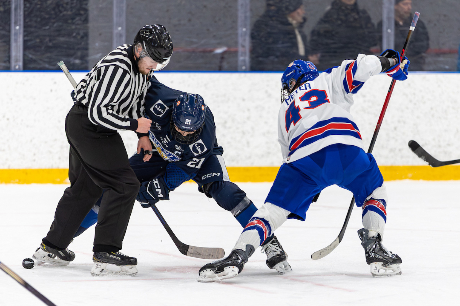 U17 Vierumäki Cupissa päätöspäivä, Suomi ja USA pronssiottelussa klo 14 - Lähetys Leijonat TV:ssä