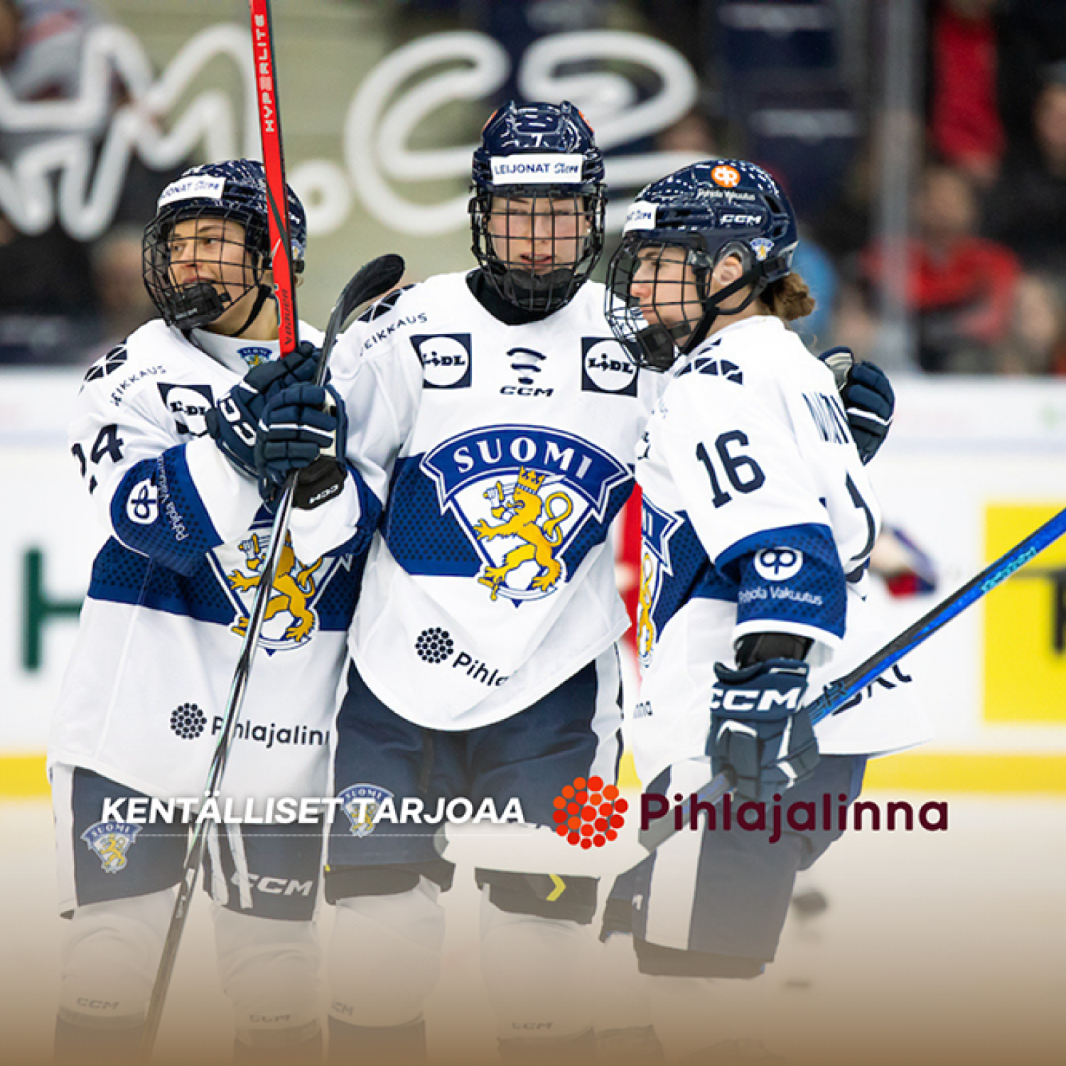 Naisleijonat kauden avaukseen Tshekkiä vastaan – Suomen kentälliset klo 16.30 alkavaan otteluun