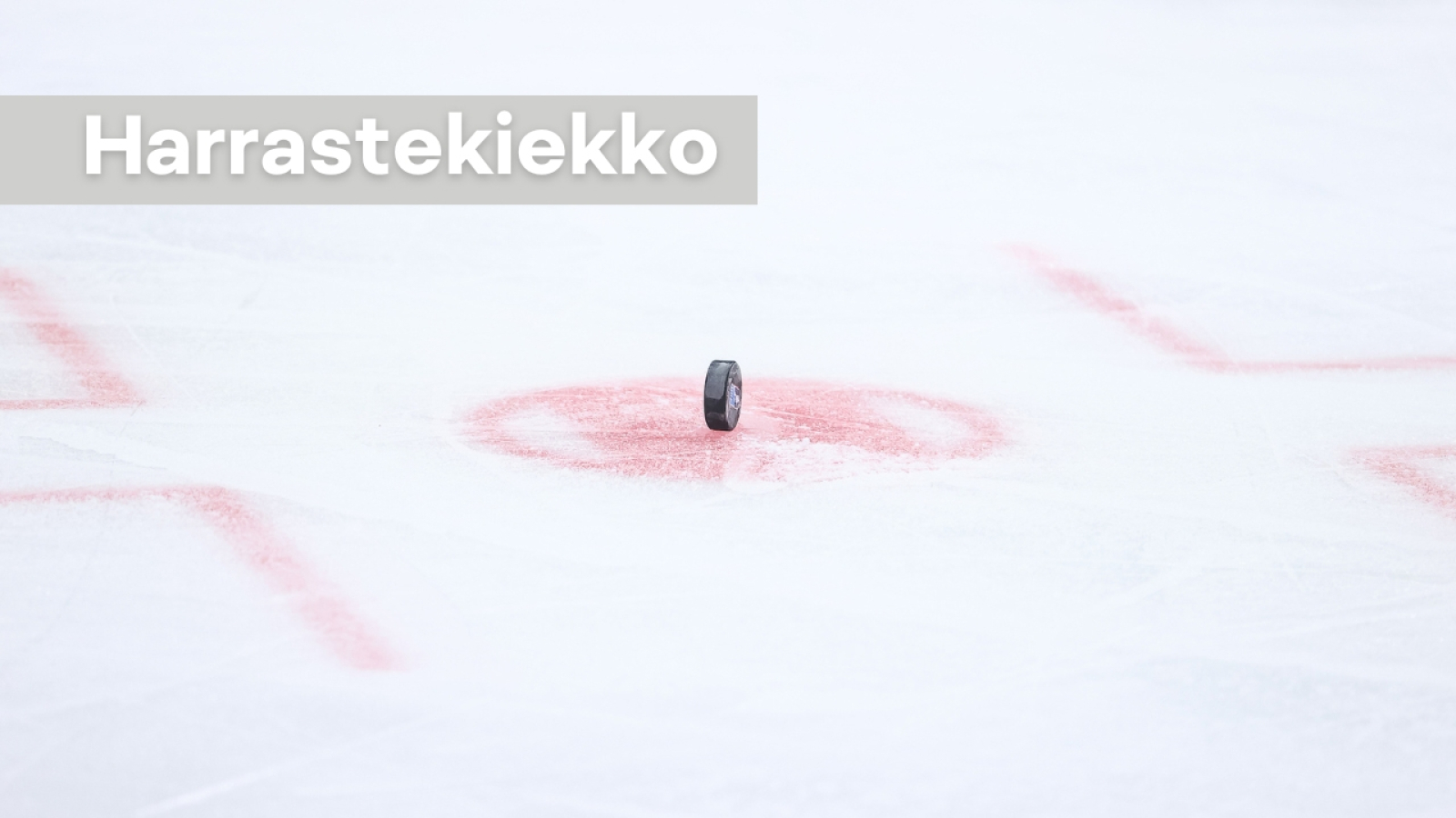 Aikuisten harrastekiekko