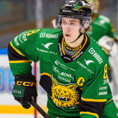 Ilves varmisti runkosarjan voiton – RoKi yllätti KooKoon