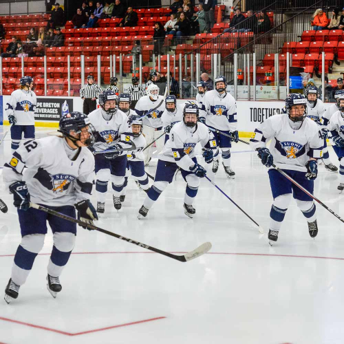 Tyttöleijonat MM-kisojen toiseen peliin klo 19.30 – Suomen kentälliset Slovakiaa vastaan!