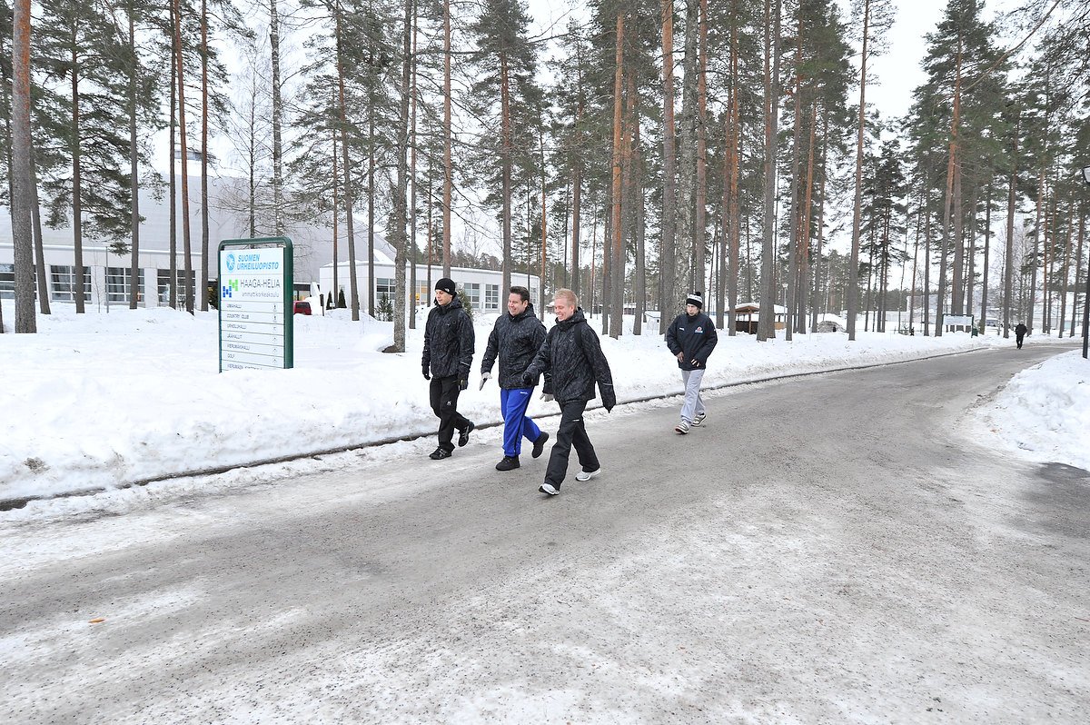 huippu_pohjola_k1517.jpg